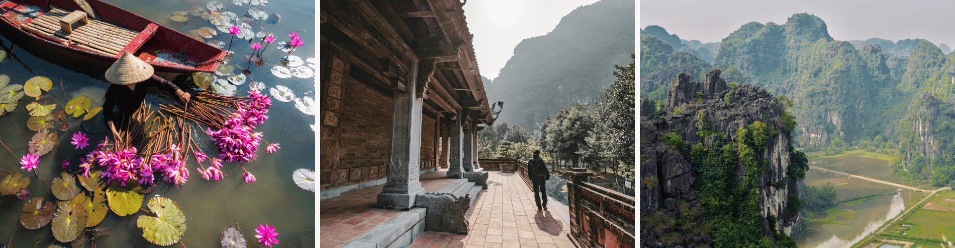 NVH - Day 4 NVH Day 4 WOLO Travel